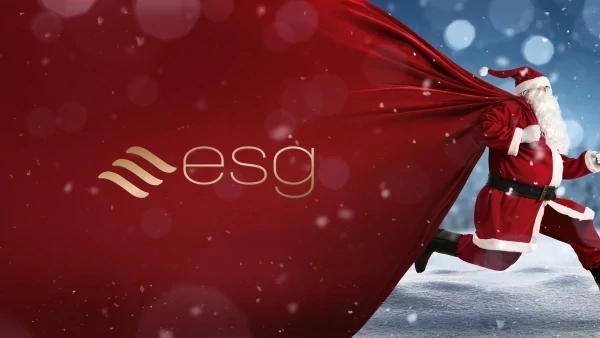 ESG Annual Christmas Raffle promotional image